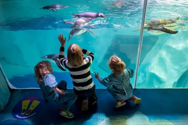 Brauciens pa Bārtas upi