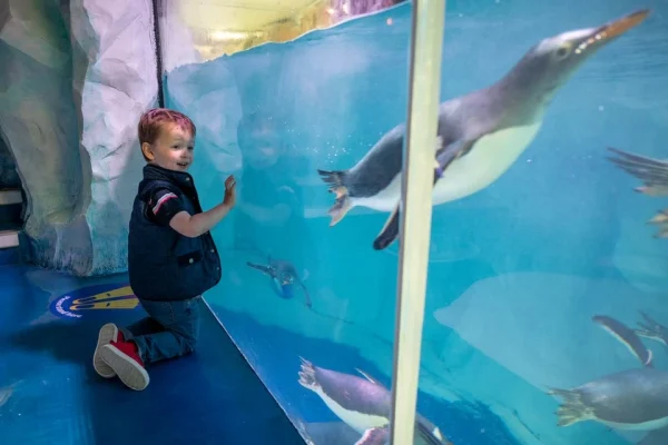 Brauciens pa Bārtas upi