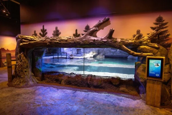 Brauciens pa Bārtas upi